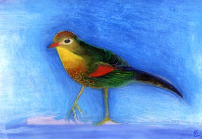 Nightingale Light, 2012, (kağıt üzerine yağlı pastel) by Nancy Moniz Charalambous